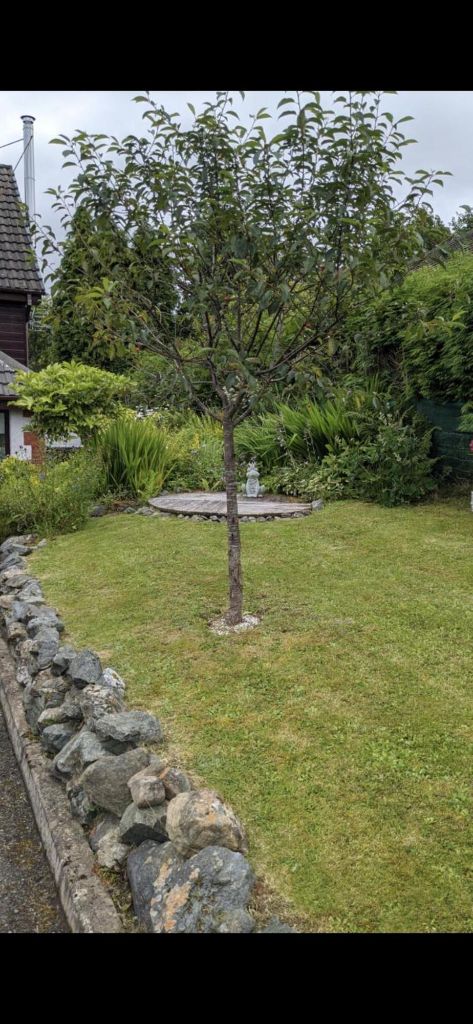 Contemporary Highland House Close To Town And Ben Nevis 포트 윌리엄 외부 사진